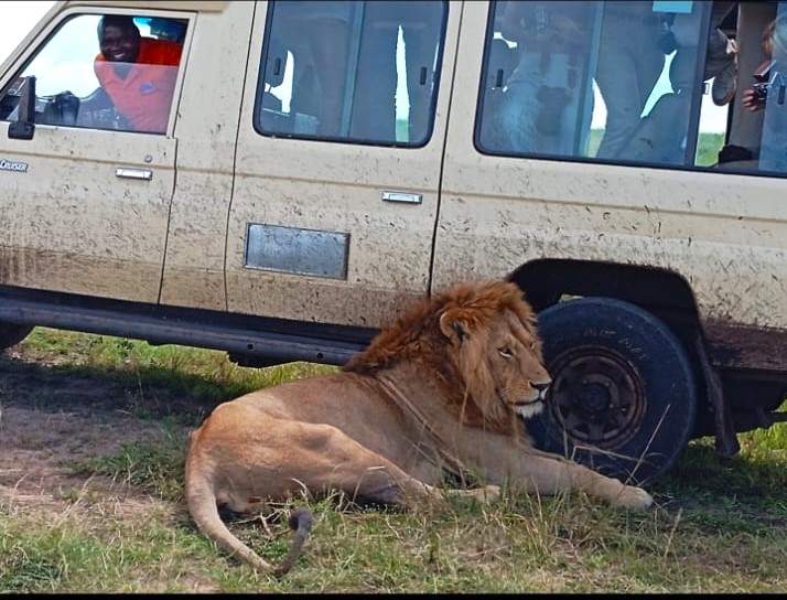 whatsapp image 2026 03 06 at 14.35.01 (1)