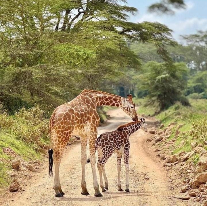 whatsapp image 2026 03 06 at 14.35.02